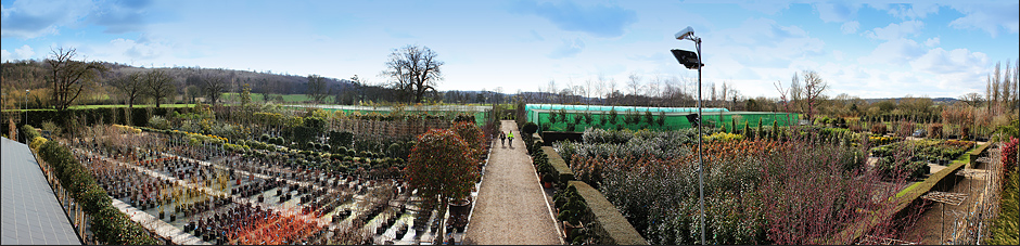 Plants at Riverside Nurseries