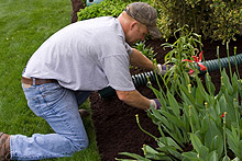 Riverside Nurseries for Traders