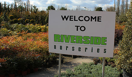 Welcome to Riverside Nurseries