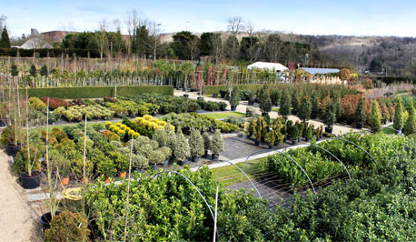 Riverside Nurseries for Traders