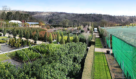 Riverside Nurseries Arial View