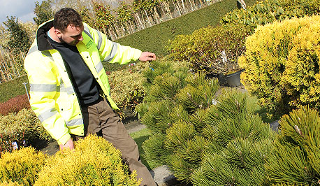 Riverside Nurseries near Marlow