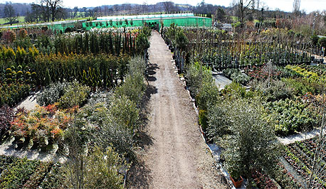 Riverside Nurseries for Traders Overview